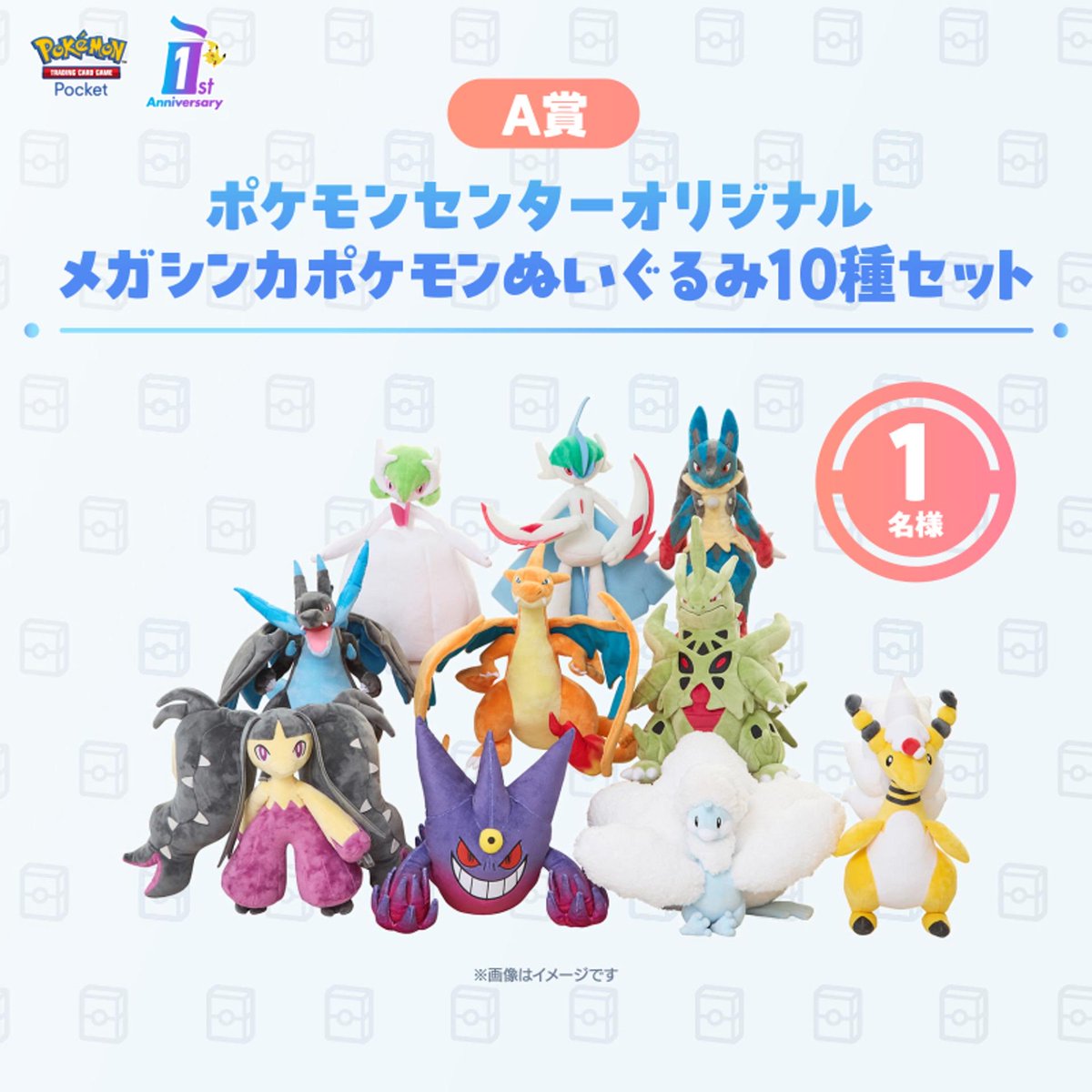 私のナマコブシ 私のナマコブシ