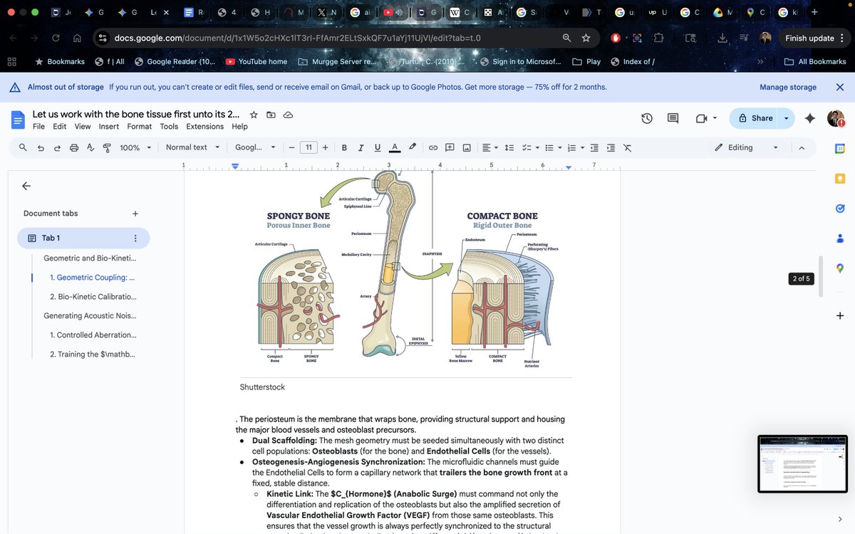 jhazani's tweet image. Just thought about #IsaiahPead #rn #interpolation