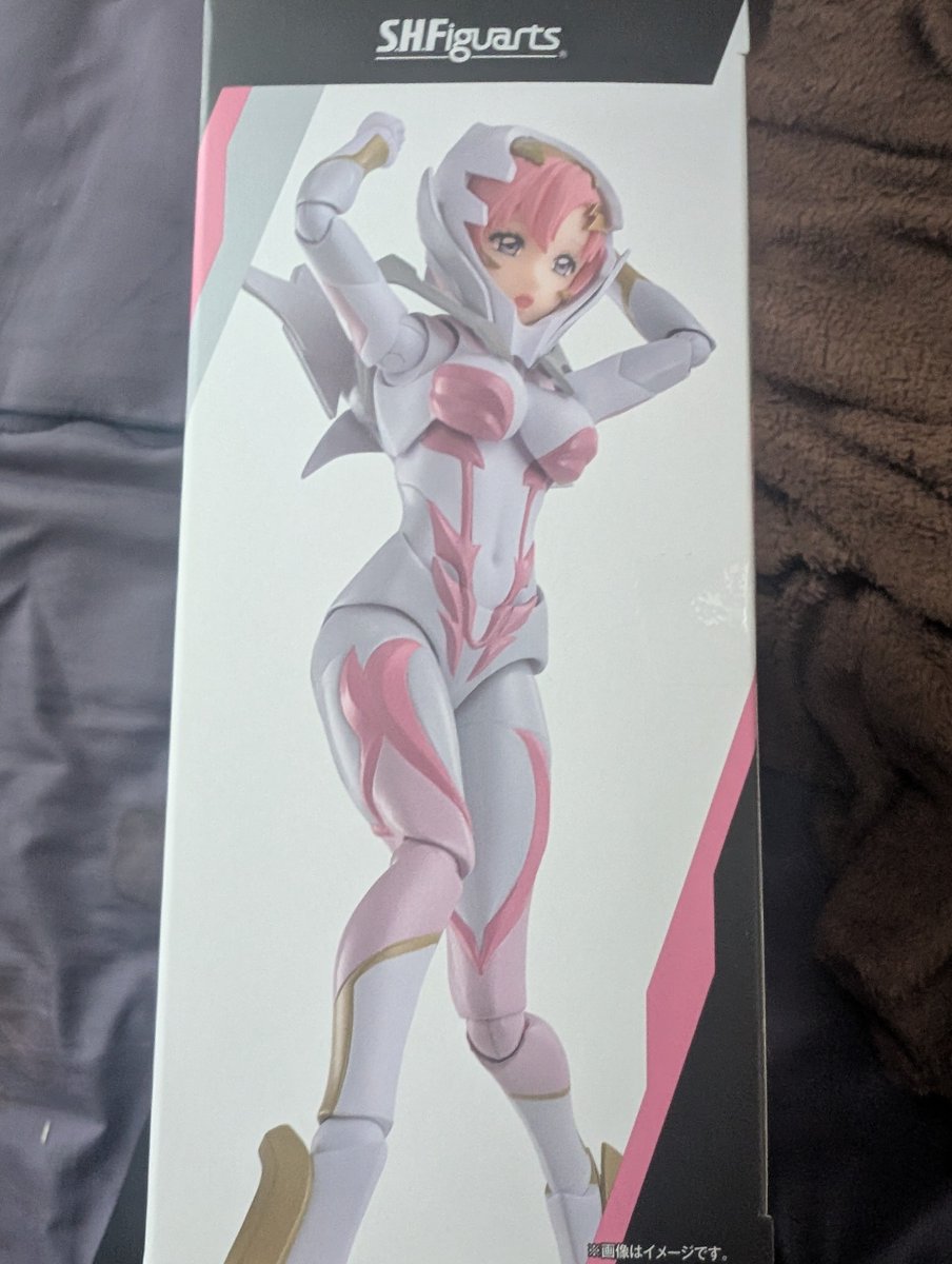 さくら　エアロペガサス　コメント欄必ずご覧ください。 ザキ(サンドバッグ