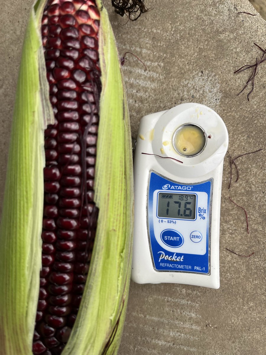 とうもろこしページ Amazon｜A sixx とうもろこし型、ケーキ型、シリコーン型ムース