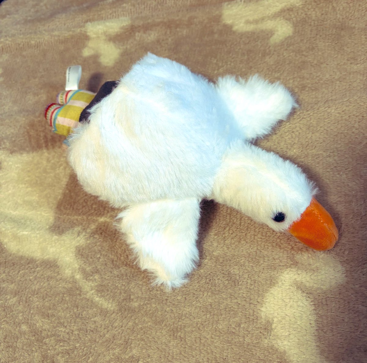 ひろた🚑アヒージョ スバ友（🌸🌲💬🔁💙） tweet media