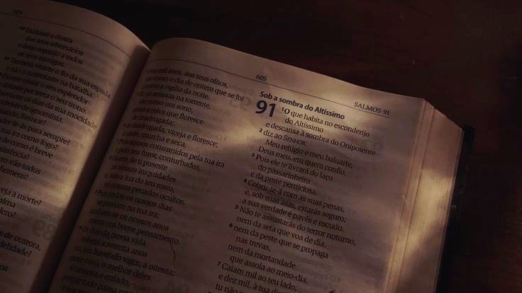 aly myung tweet media