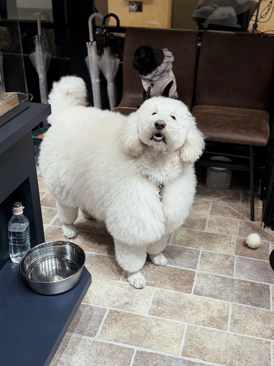 Went to Tokyo for 2 nights and recalled the days I used to post a lot 😅 

I’ve always viewed social as place for communities and connection… and the last few years, restarted all my accounts. I’m glad I was able to connect in that manner again.