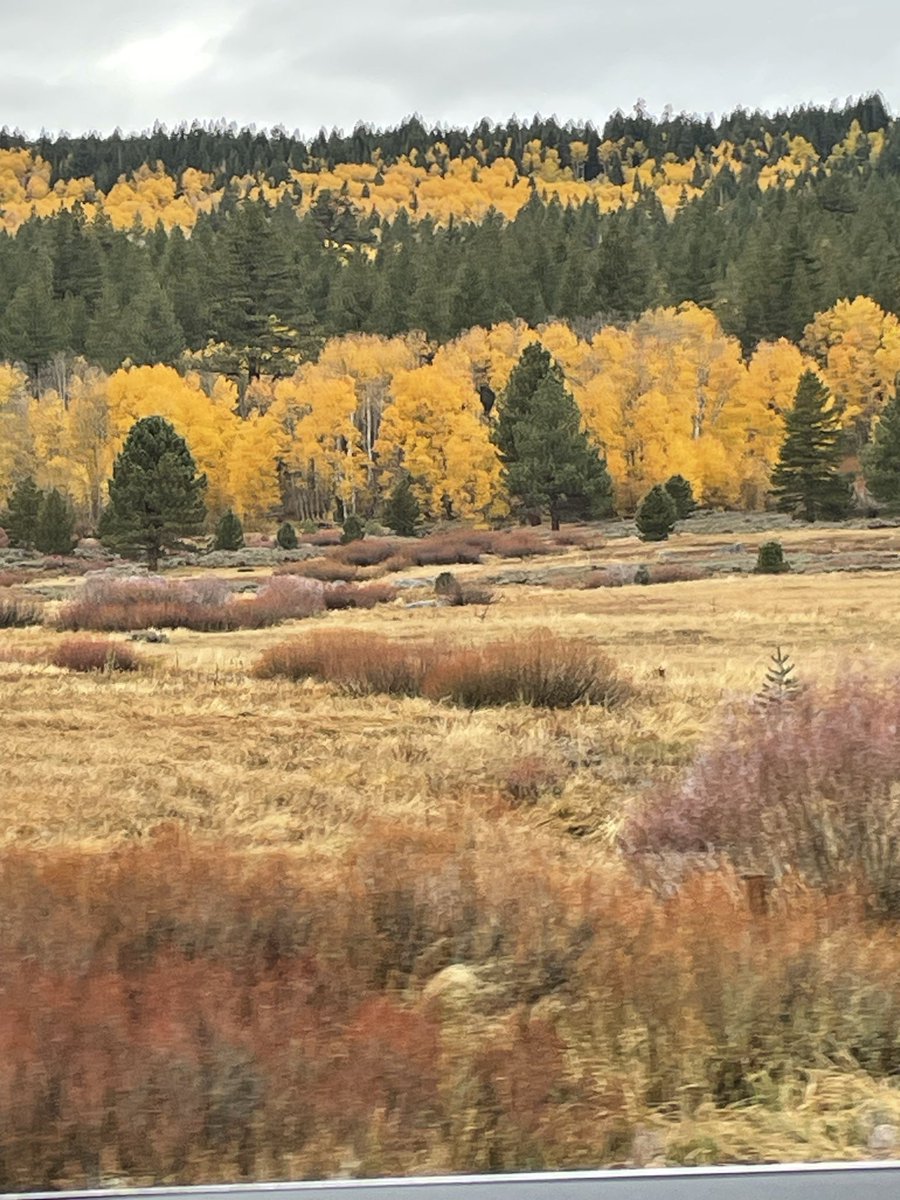 sheri_lynn95252's tweet image. Good night @melissamorris50 have a great new week! #Fallcolors