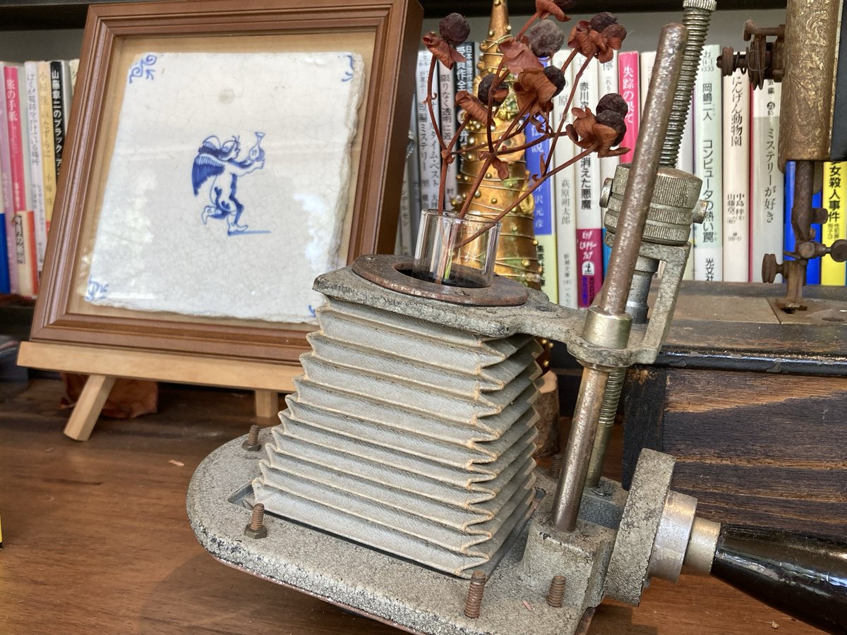 ぱりんこページ‼️ ぱりんこ (@parinkomesi8989) / Posts / X