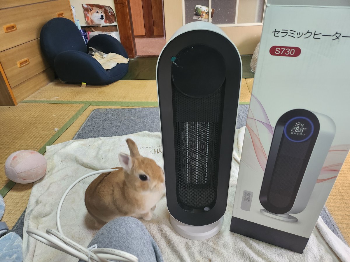 ゴンちゃんのお部屋 on X