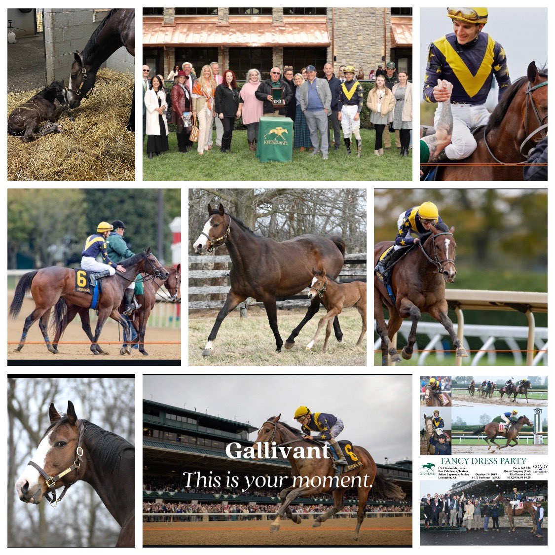 HOMEBRED 2YR OLD GALLIVANT💙💛🤩🫶🏼🙏💃🥰 <a href="/colebrookstable/">Colebrook Racing</a> <a href="/luanmachado85/">Luan Machado</a> 
<a href="/Alex_Solis_II/">Alex Solis II</a> <a href="/litt_jason/">Jason Litt</a> <a href="/MadisonScott157/">Madison Scott</a> <a href="/Gainesway/">Gainesway</a> <a href="/BrianGr63883107/">Brian Graves</a> <a href="/keenelandracing/">Keeneland Racing</a> 
PC: KEENELAND