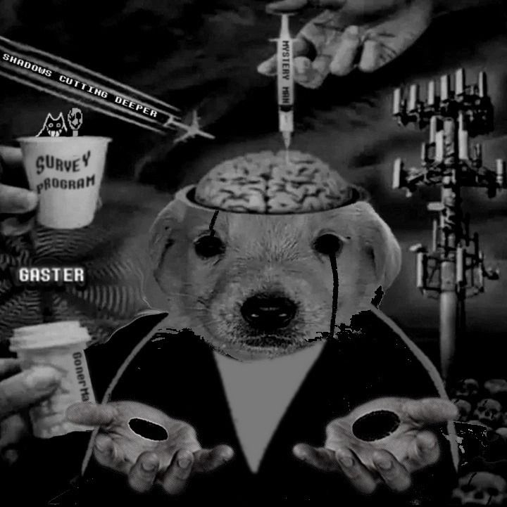 ASTRALNIRU's tweet image. type of shit im on