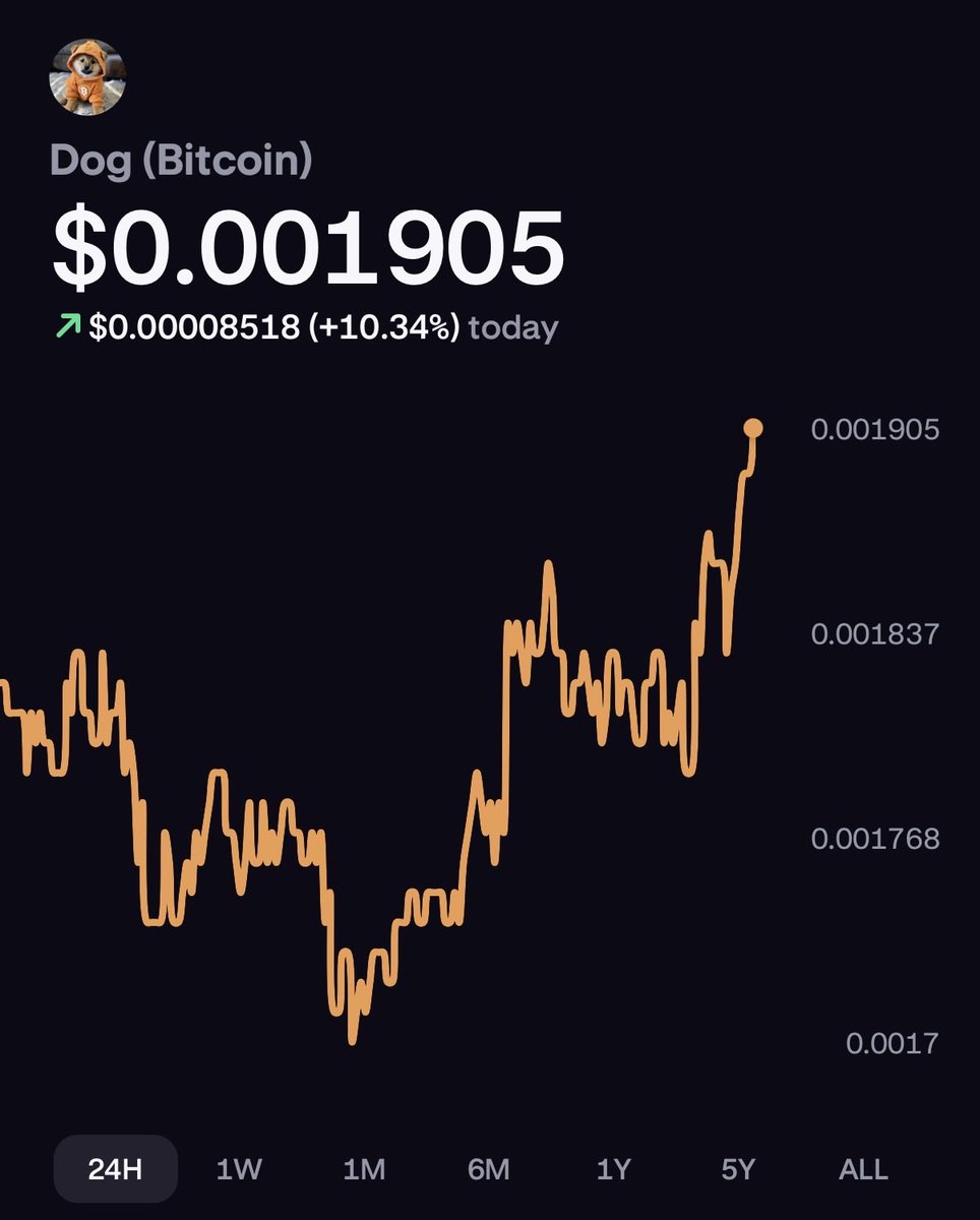 $DOG on the Move 👀
