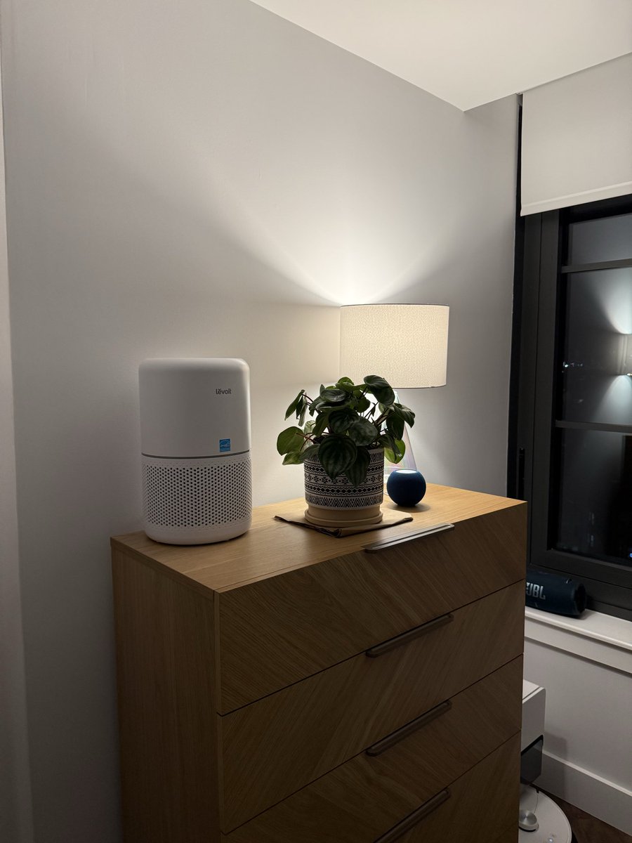 J 🌻 (@jimabyte) on Twitter photo Meet Piper, the watermelon peperomia Meet Piper, the watermelon peperomia