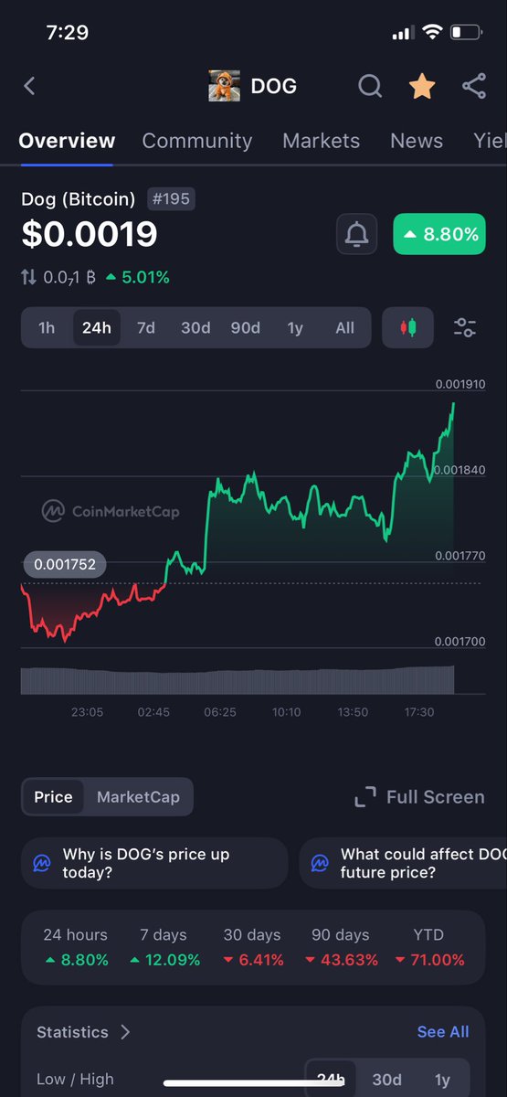 thefocelot's tweet image. $DOG IS PUMPING, YOU ARE NOT READY!!!