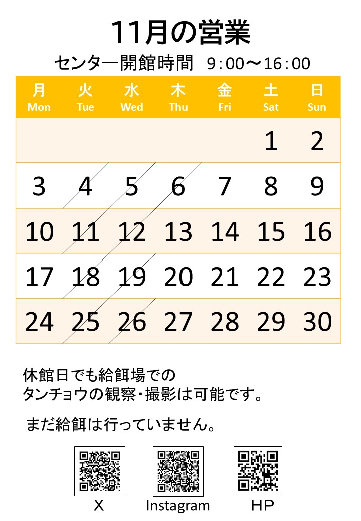 昨夜の雨で木々の葉っぱがだいぶ落ちたようです。10月もそろそろ終わり。11月の開館日のお知らせです。
＃鶴居・伊藤タンチョウサンクチュアリ