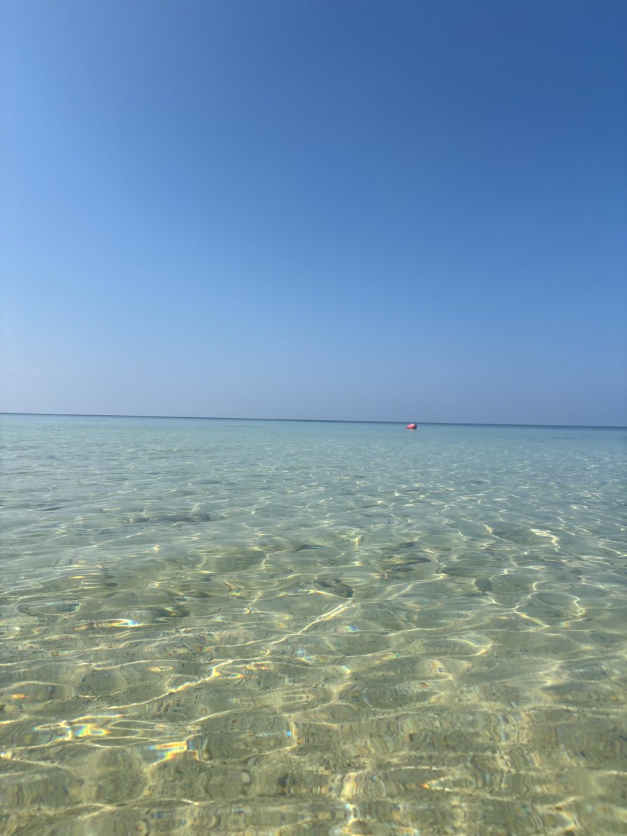 CARWASHSTATION's tweet image. おはようございます🌈
雨降ってな~い🌂#洗車日和
今週も宜しくお願いします🙂#カーウォッシュ
#企業公式つぶやき部 
#企業公式が朝の挨拶を言い合う 
#企業公式相互フォロー祭り