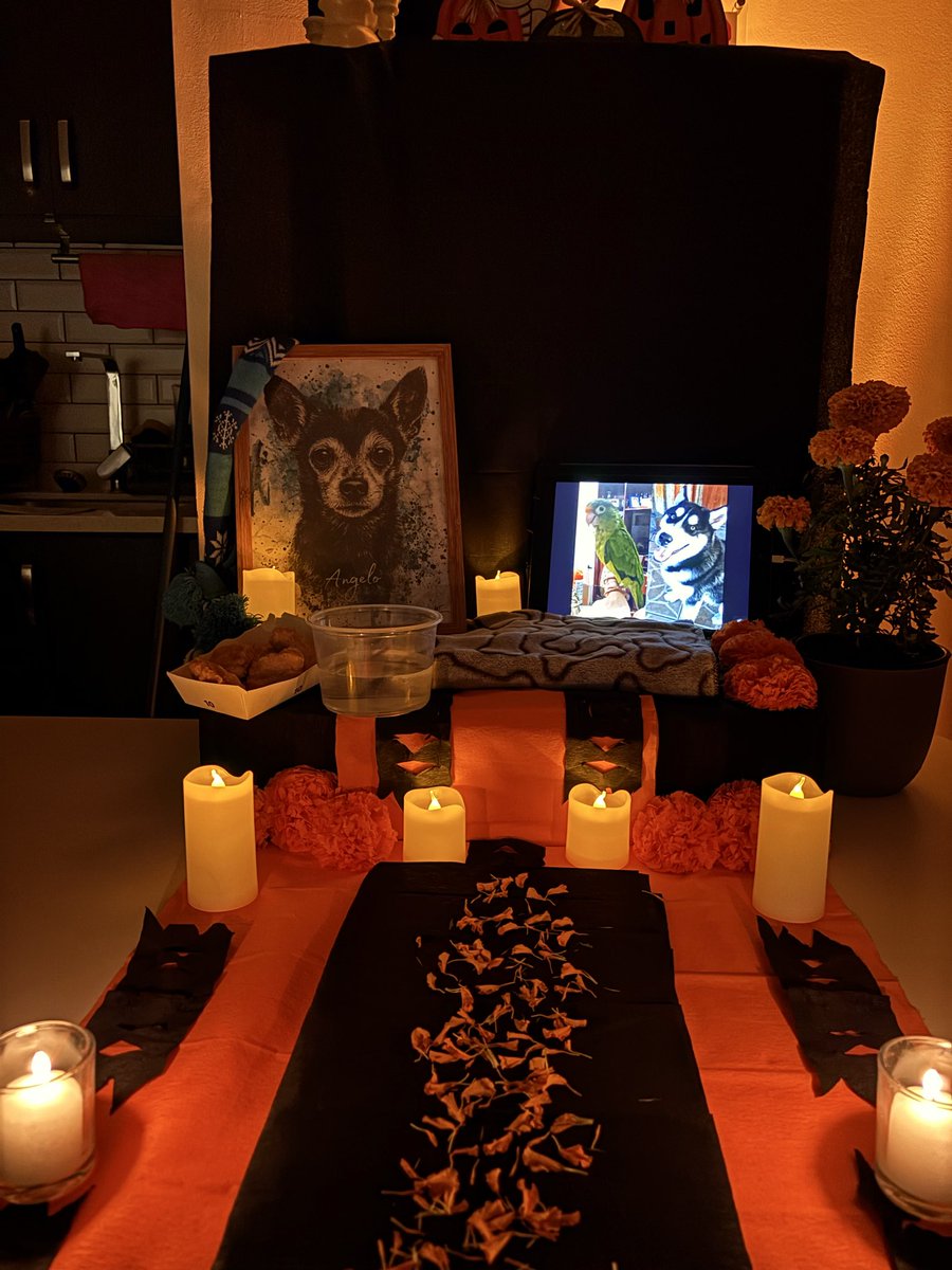 DiiegOF's tweet image. Siempre lloré viendo los TikTok’s con los altares de mascotas y este año no dudé en hacer uno, se que no es una tradición guatemalteca, pero siempre me pareció linda. No pude evitar que las lágrimas me invadieran, siempre los voy a llevar a mi corazón, gracias por todo el amor❤️