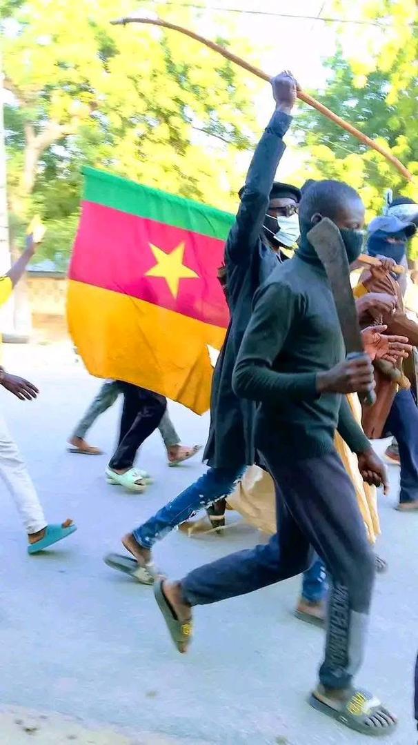 "La marche pacifique"  en question.