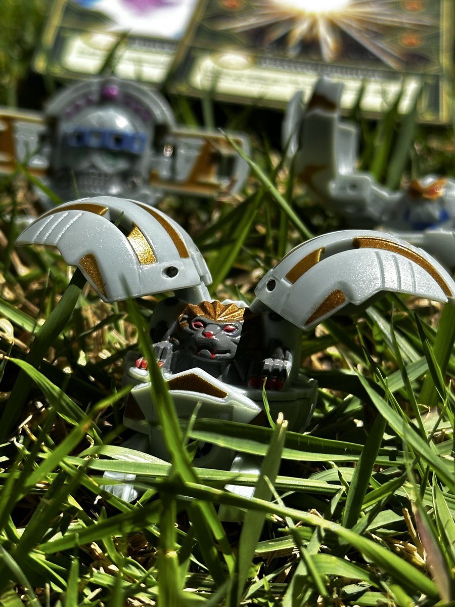 Rex Vulcan tweet media