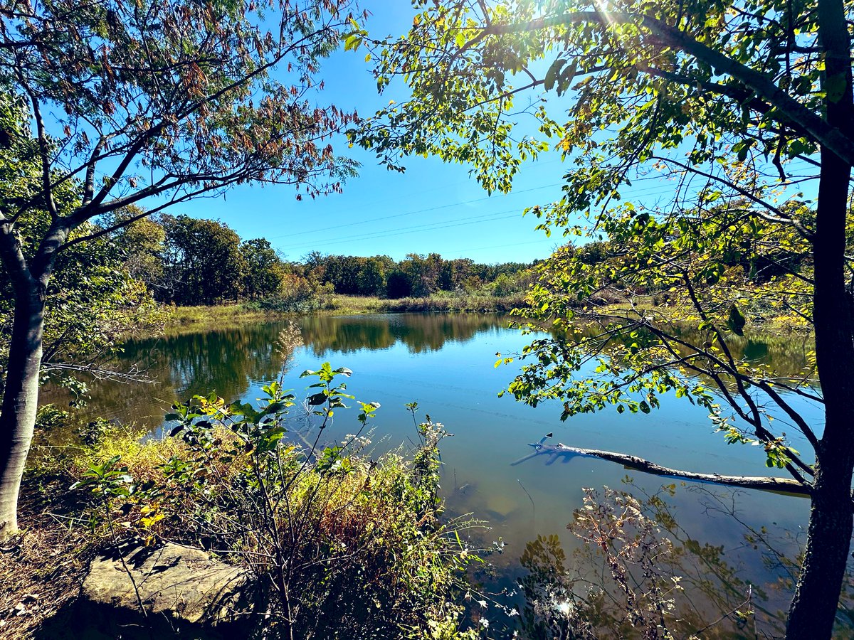 Accidental_Explorer (@bookdarlin) on Twitter photo 