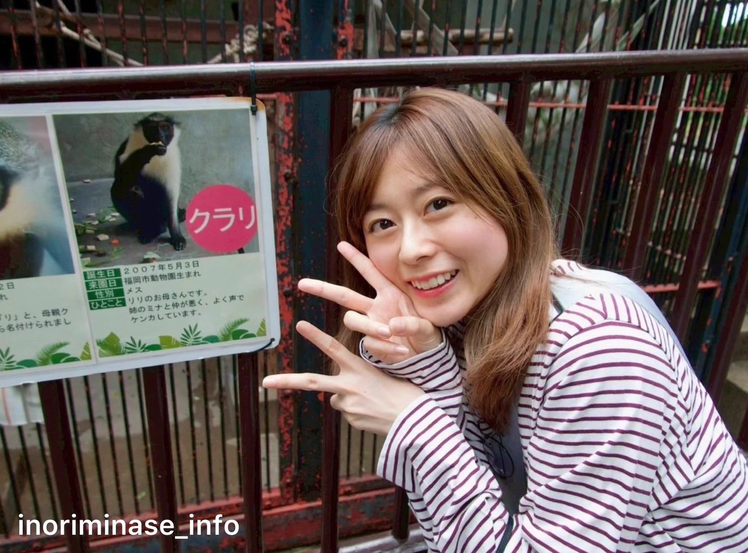 水瀬いのりinfo on X: 