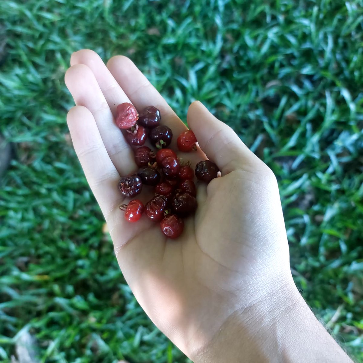 𝕾𝖙𝖊𝖛𝖆𝖓 tweet media