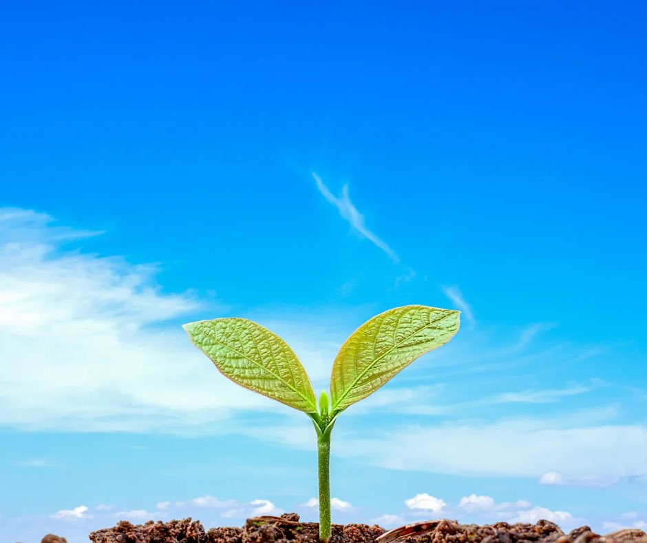 部下がミスしたときのひとこと

🌀BAD：「なんでこうなってしまったのかな？」
🌿GOOD：「どうしたら次はうまくいくと思う？」

責める言葉は「失敗の原因」を探すけれど
問いかける言葉は「次の行動」を引き出す

叱るのではなく
考えを促す上司の言葉がけ
その切り替えが
成長のスイッチとなる