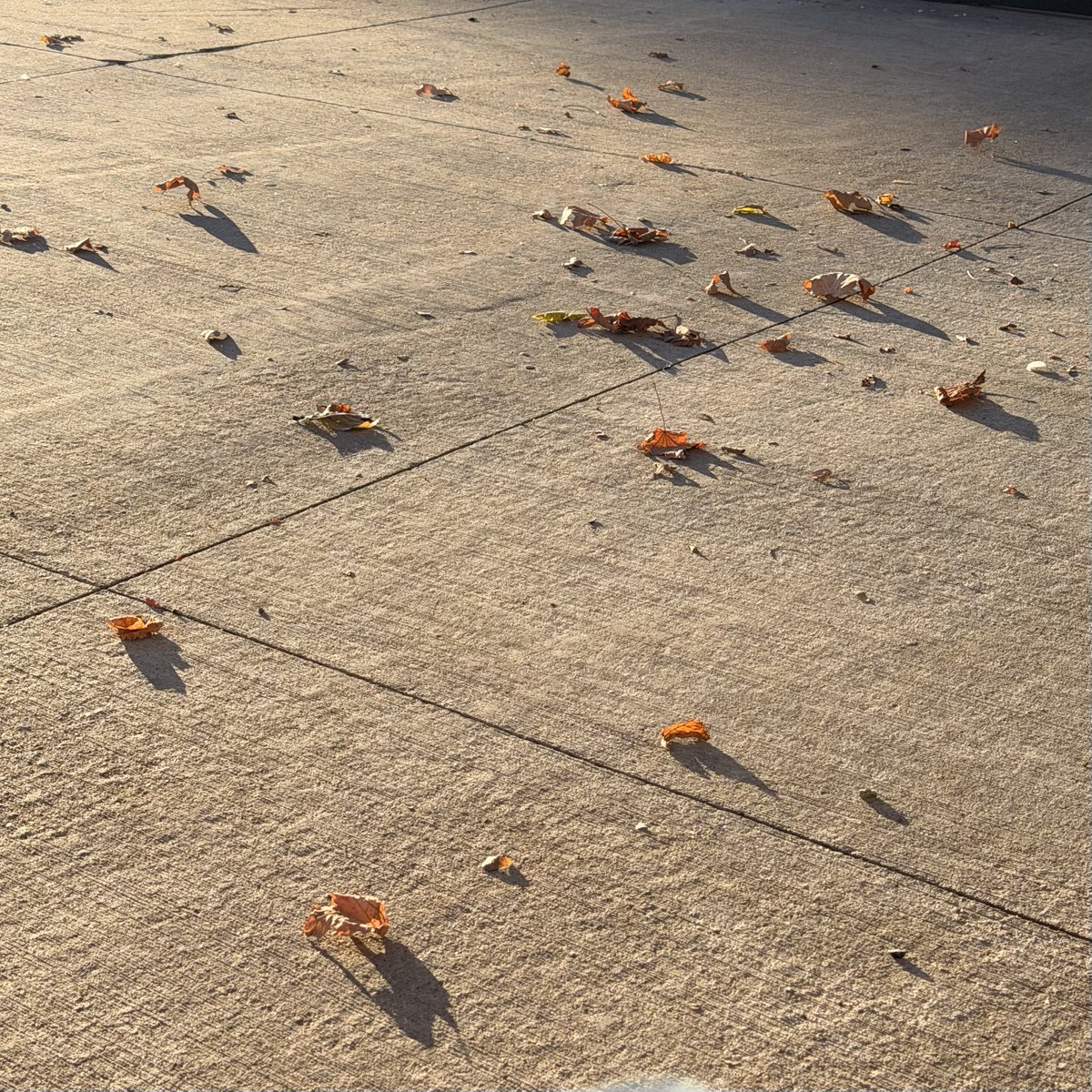 mrtoronto tweet media