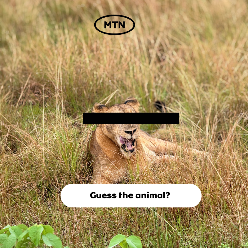 MTN Uganda tweet media