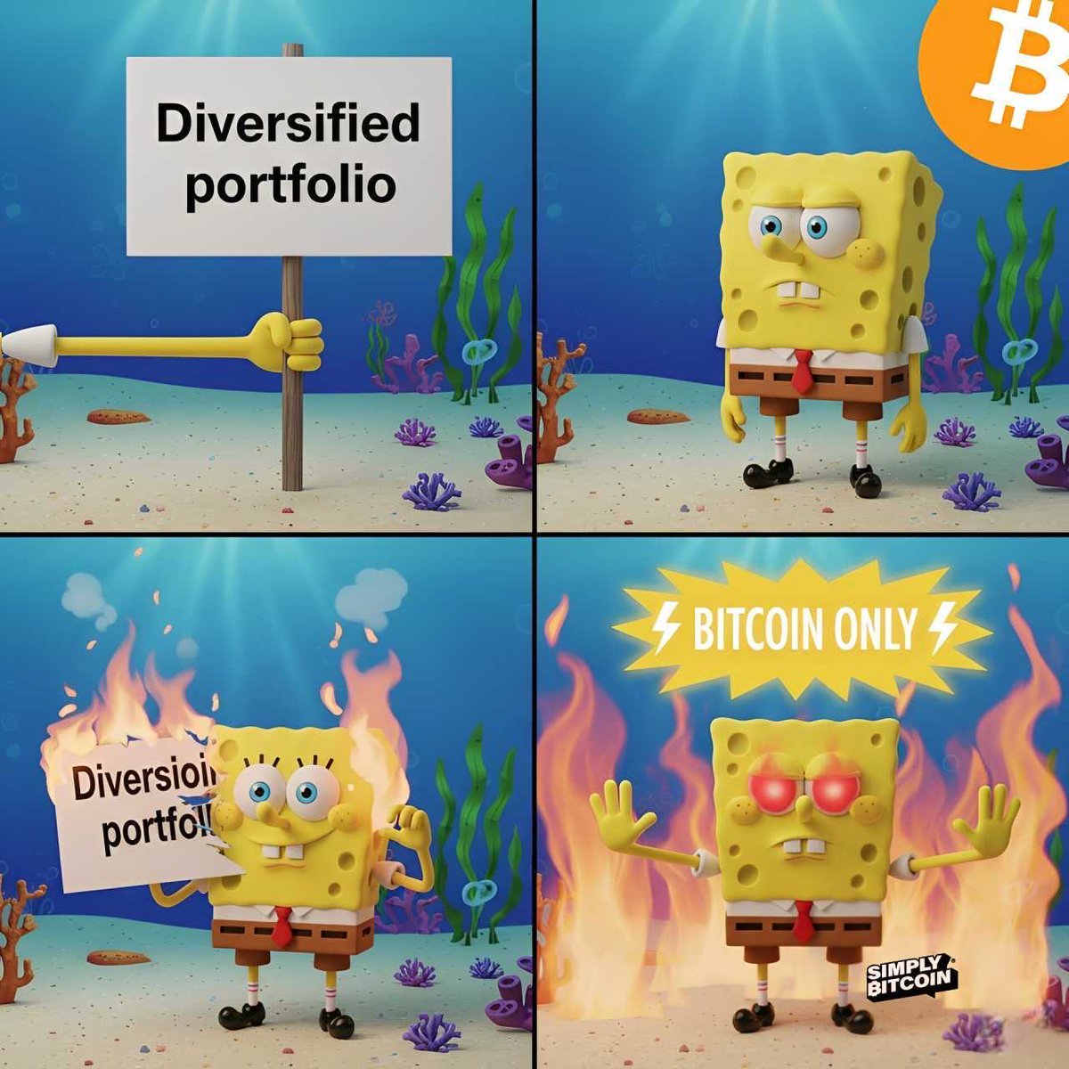Bitcoin Only ⚡️