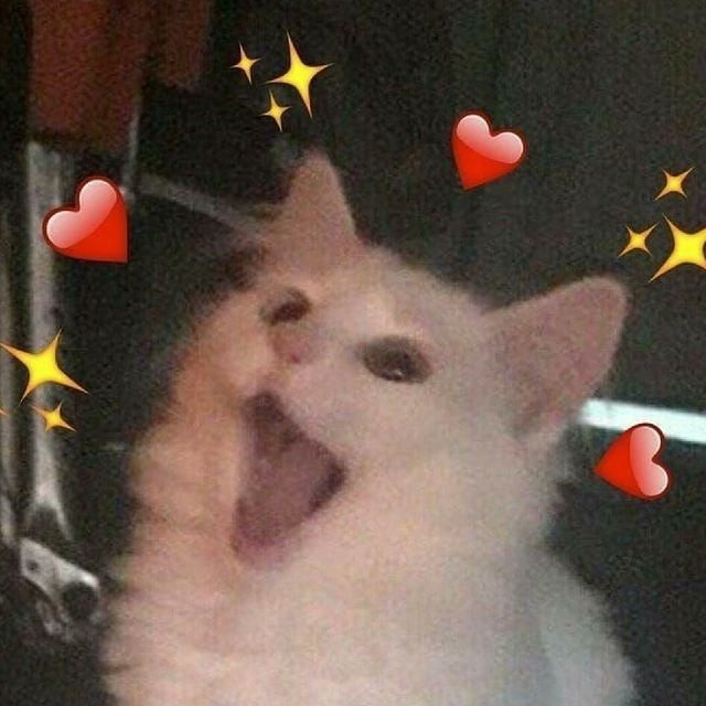 Horror Anya tweet media