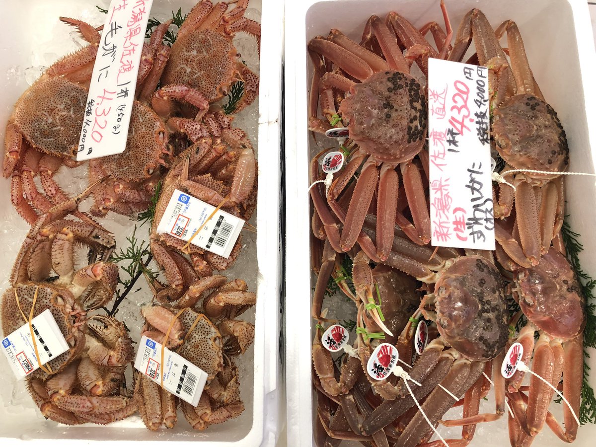 🦀カニ🦀カニ🦀🌟