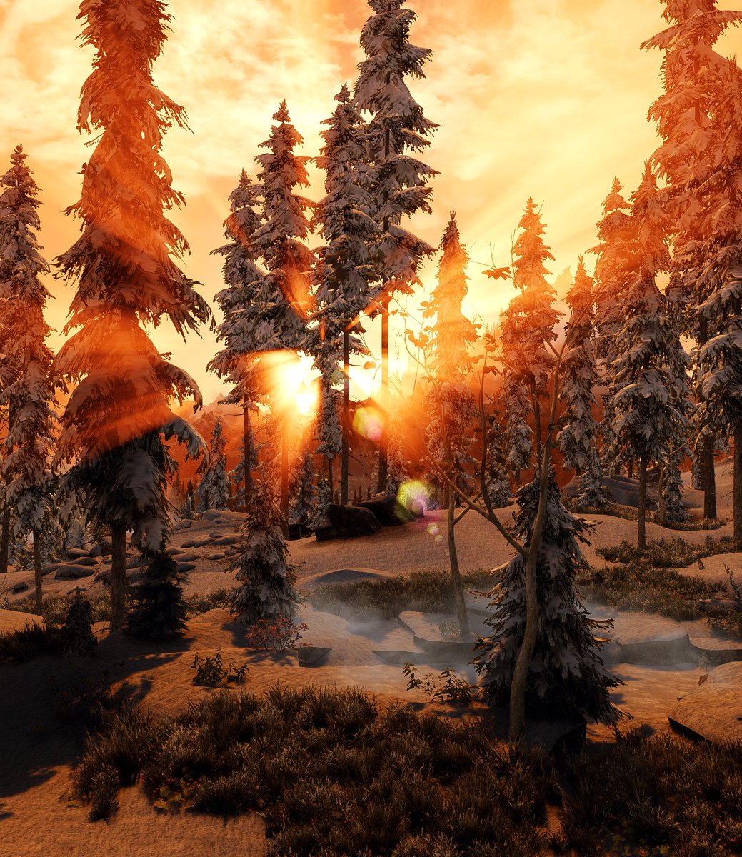 belphegor_89's tweet image. #Skyrim LE (Patrician ENB, no edit) 
#VirtualPhotography 
#SkyrimMods #Landscapes