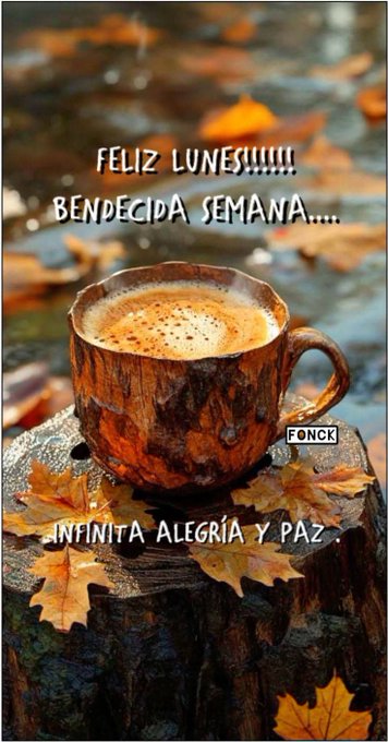 A rustic wooden stump sits in a natural outdoor setting with scattered orange autumn leaves on the ground. A large wooden mug filled with steaming frothy coffee rests on the stump. Text overlays in Spanish read Feliz Lunes, Bendecida semana, and Infinita alegria y paz.