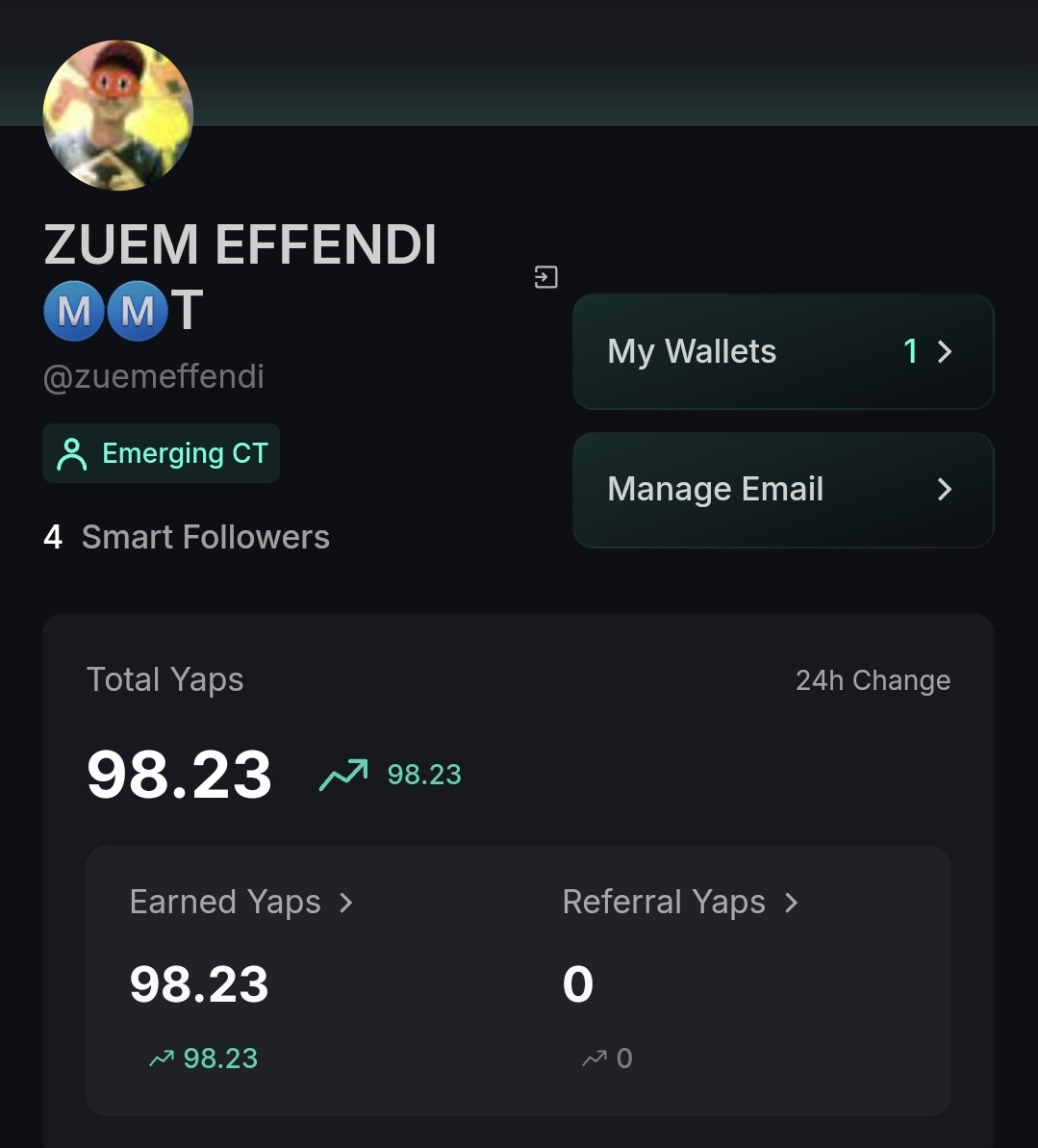 ZUEM EFFENDI tweet media