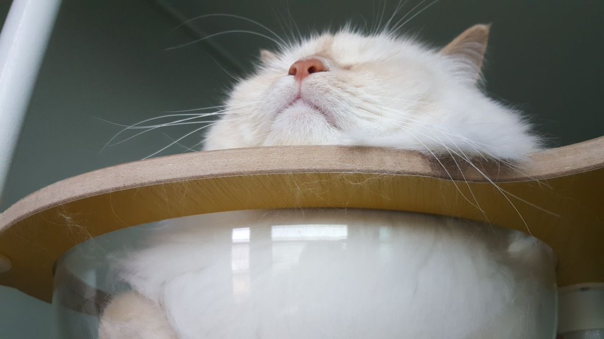 입술 모양이 너무 귀여워...