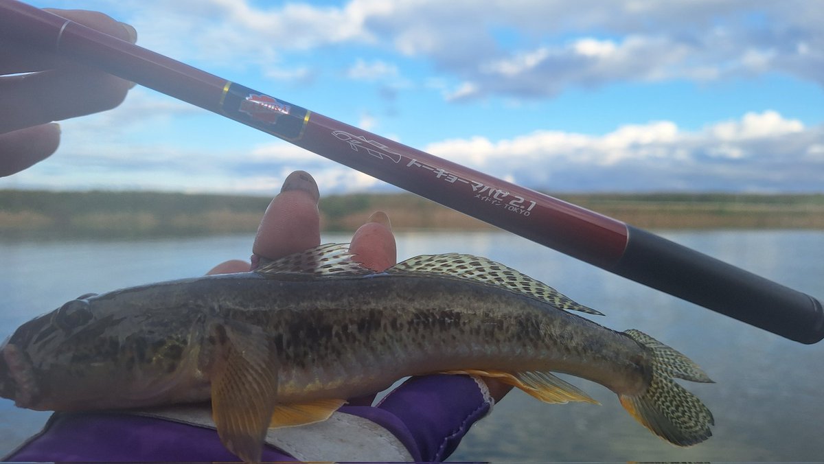 麻愛‥まぁちゃん‥ (@maaaaaa_pon) / Posts / X