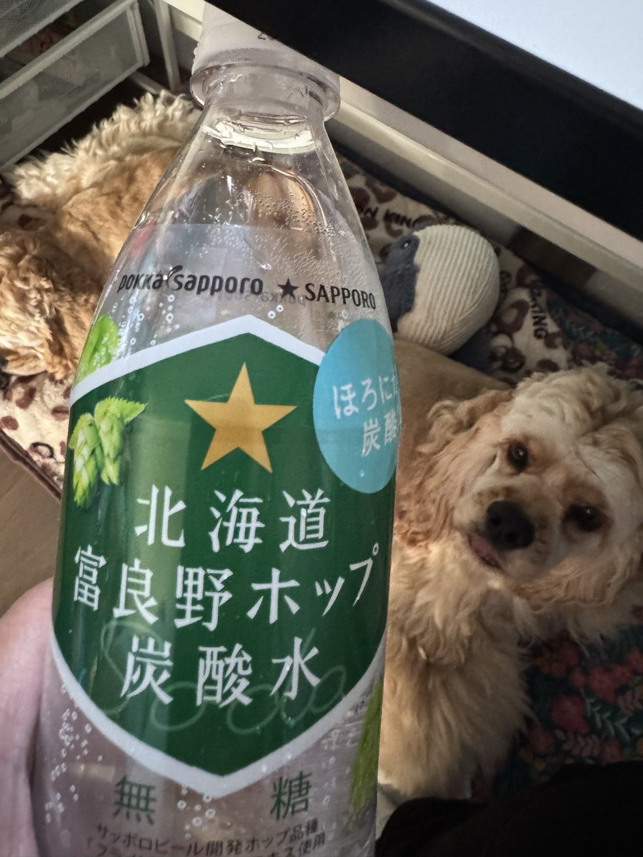 めるもも 🖤💫 ⁡ めぐろパーシモンホールでのライブ 2公演、ありがとうご