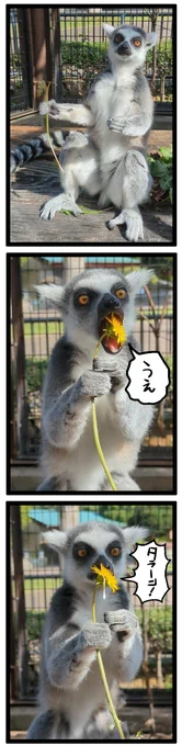 つい・・・ 