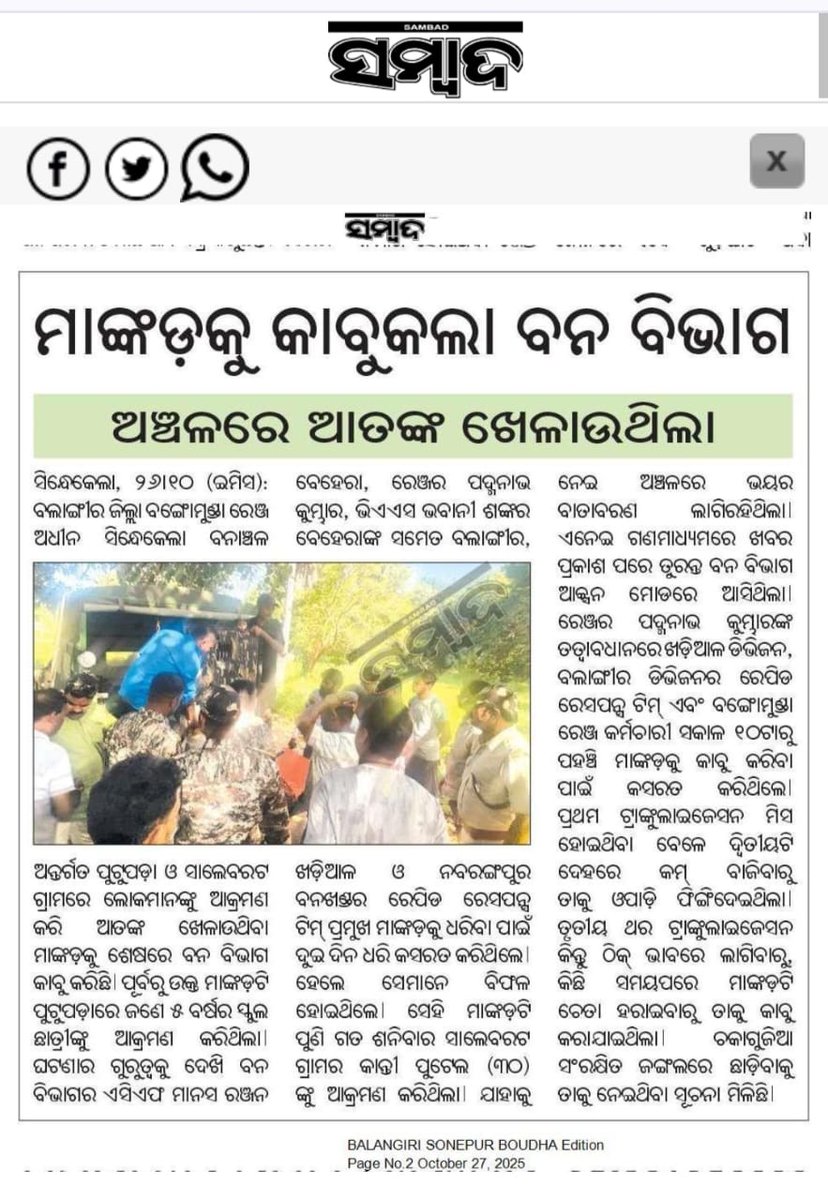 DFO Bolangir tweet media