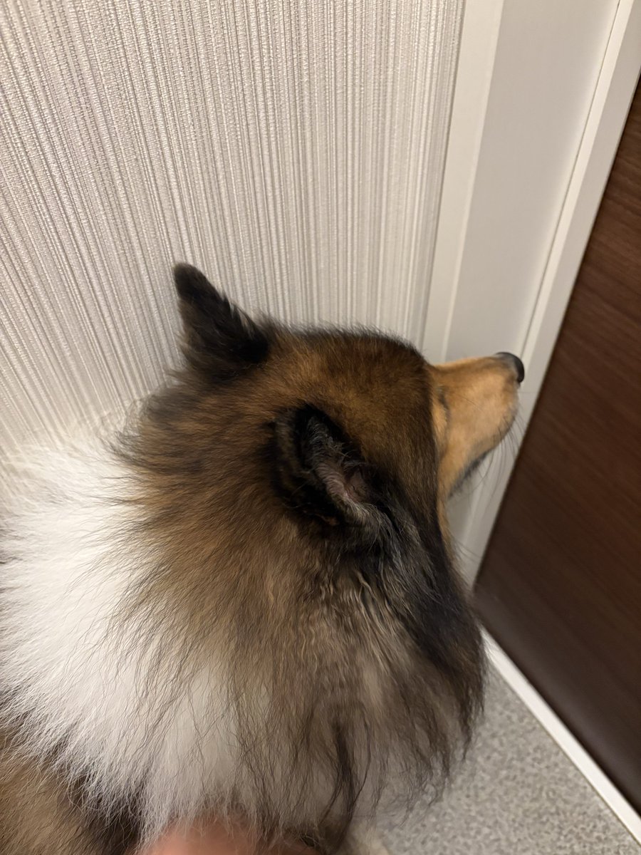 あんちゃん on X