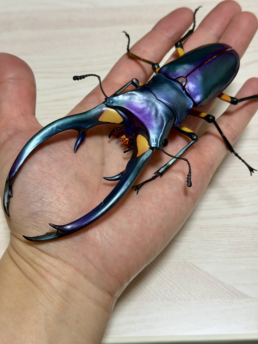 世界のカメ分布チェックリスト　貴重 爬虫類ビジュアルガイド リクガメ : 世界のリクガメ図鑑