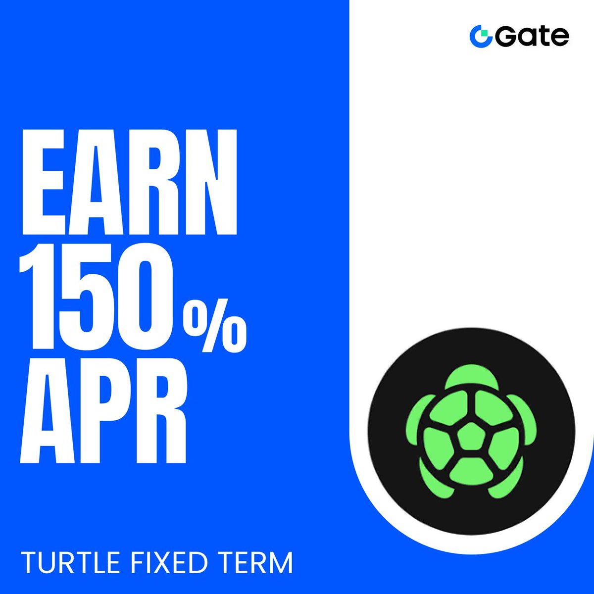 📢 150% APY ALERT! 🚀
Gate Simple Earn has launched a limited-time 7-Day Fixed-Term Wealth Management product for TURTLE! Maximize your earnings with an incredible 150% APY. Don't miss this opportunity!
🔗 Announcement: gate.com/announcements/…
💰 Subscribe Now: