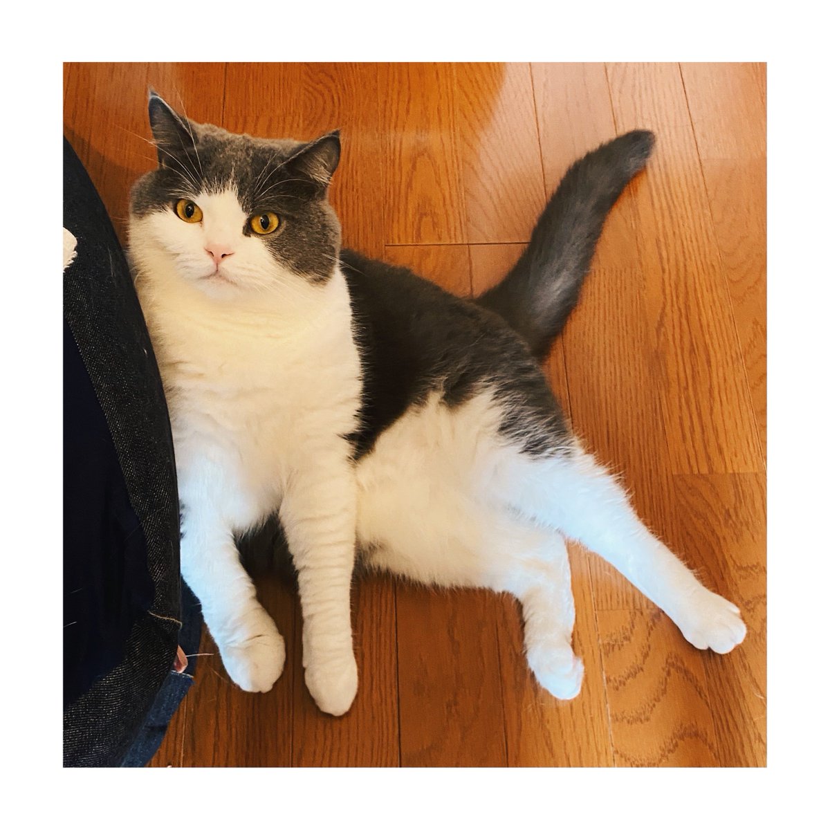 IVE Be Alright オフイベ スタンプ押し会 ガウル センイル IVE ALIVE