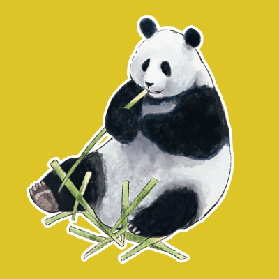 パンダさま確認ページ♡ パンダ自身] | kokode books | [パンダ自身]