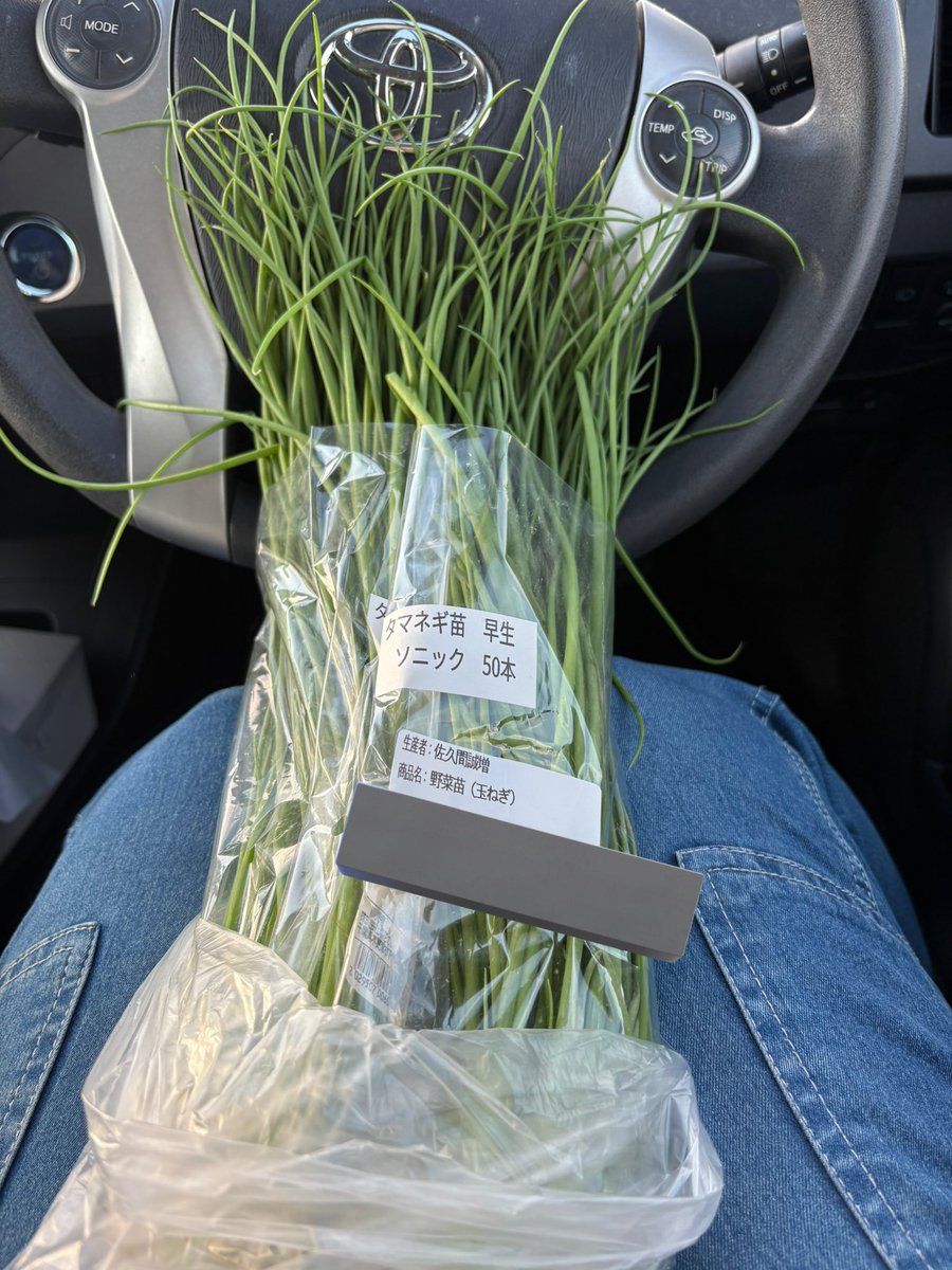 たか28日まで タカチ コーナーガード付アルミケース ( AUG177-20-30-SR )