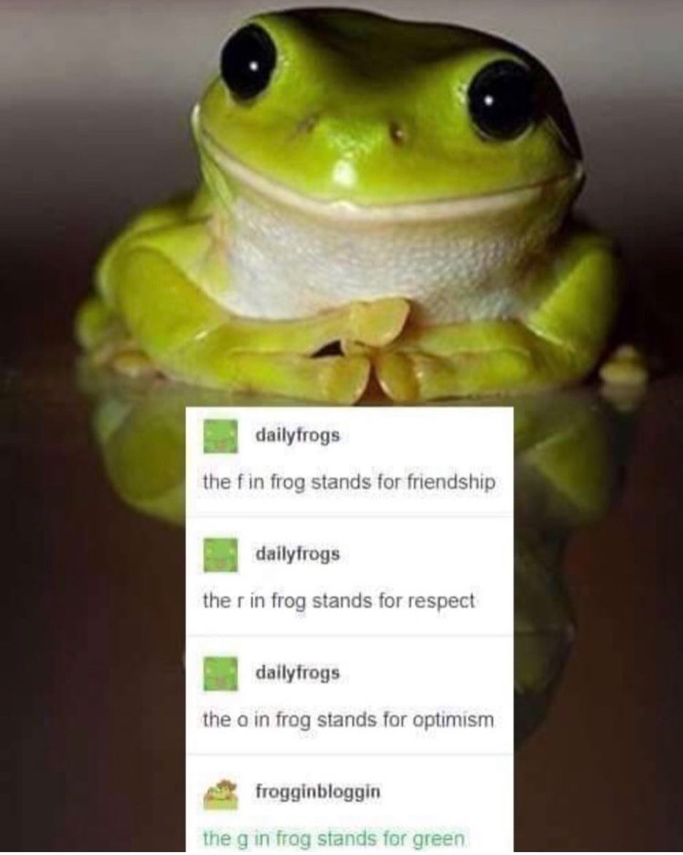 Respectful Memes (@respectfulmemes) on Twitter photo 