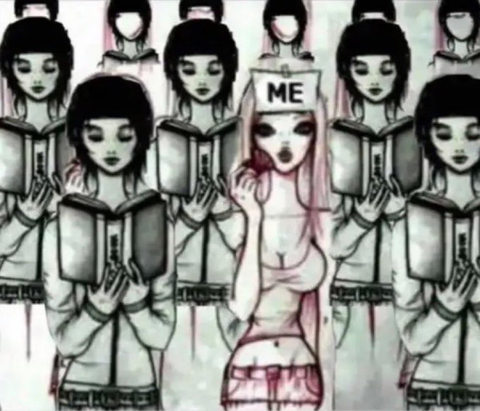 casey🪽 tweet media