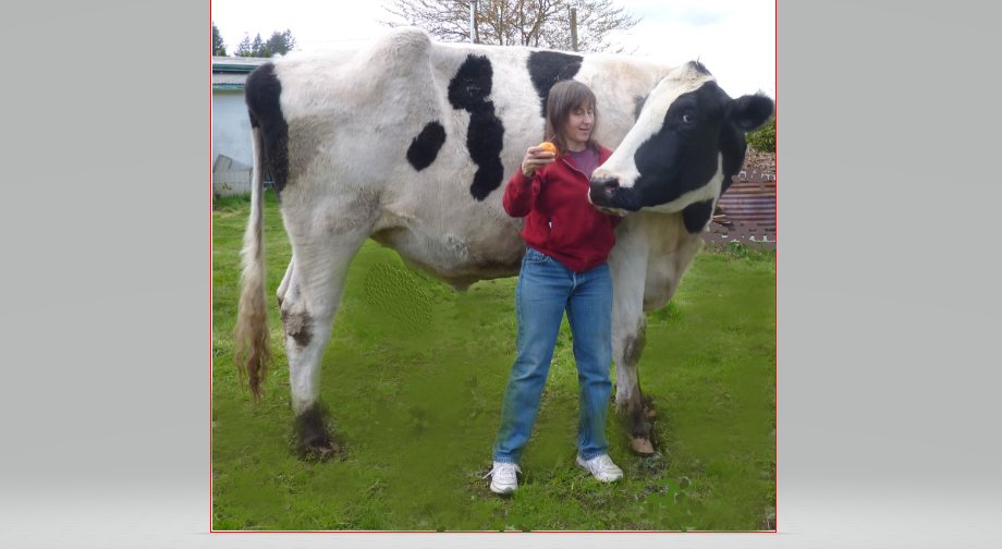 🇺🇸❤️Lisa the Cowchick❤️🇺🇸 tweet media