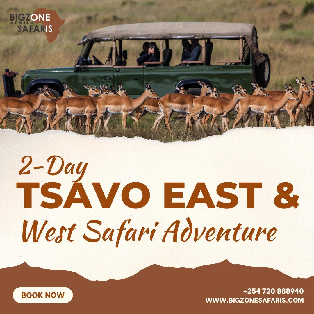 SafarisBigzone's tweet photo. 2-Day Tsavo East &amp; West Safari Adventure

🌐Visit our Website https://t.co/g3jAUB0fvu

#TsavoEastAndWestSafari #2DaySafariAdventure #KenyaSafariExperience #WeekendSafariGetaway #BigZoneSafaris #ExploreTsavo #KenyaTravelAdventures https://t.co/InqjpeZcl2