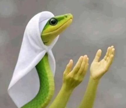 Grateful for what I have today 🙏
Grateful for what’s coming in the future 🌅
Gm guys stay thankful, stay focused, and keep building 💪
Gwarden
<a href="/wardenprotocol/">Warden</a>