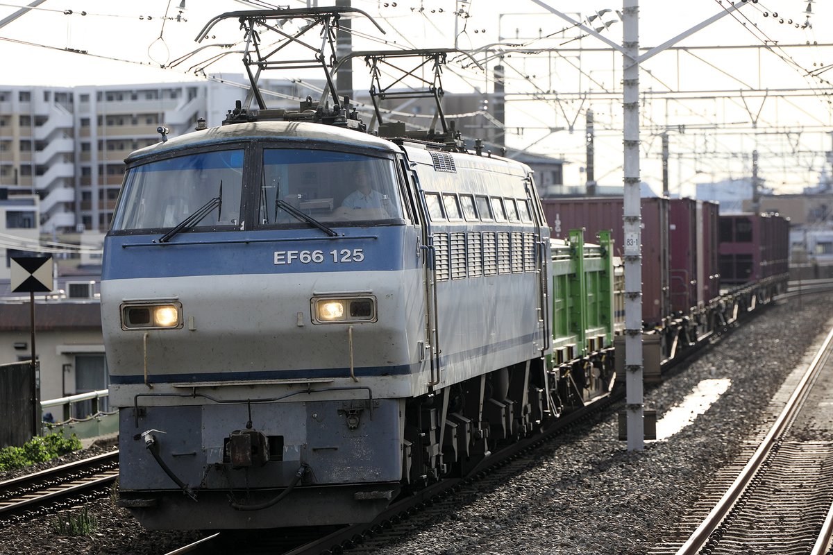 JRFページ BMX【12インチ】DURCUS ONE ダーカスワン ブルー 子供 （SOLO