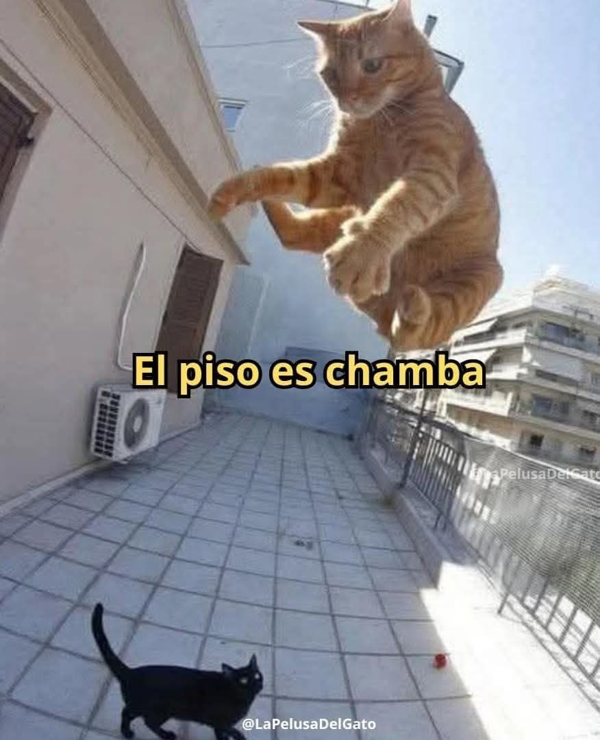 En Júpiter tweet media